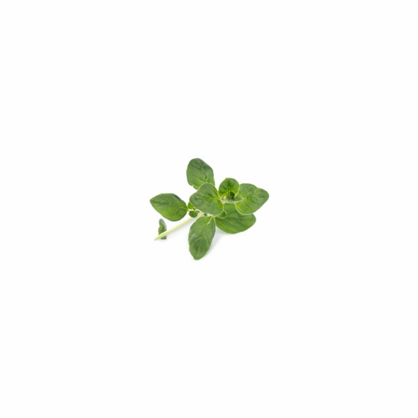 Véritable Lingot Pažitka - BIO