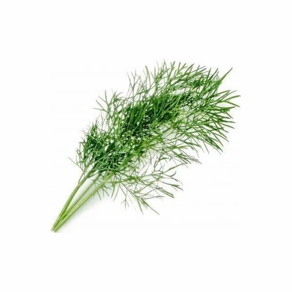 Véritable Lingot Kopr - BIO