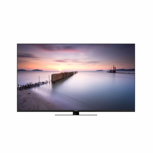 Panasonic TV-55W80AEZ schwarz