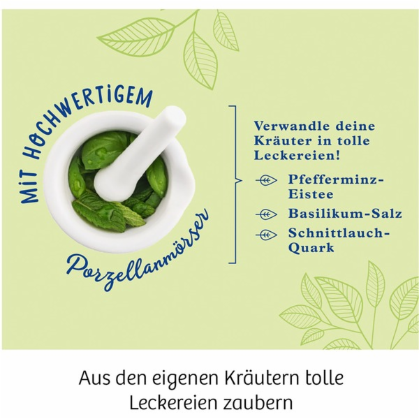 Kosmos Bylinková zahrada