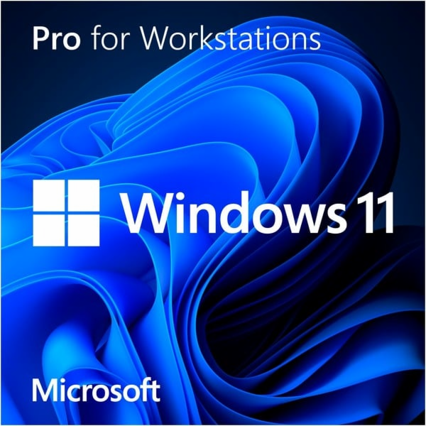 Microsoft Windows 11 Pro pro pracovní stanice, software o...