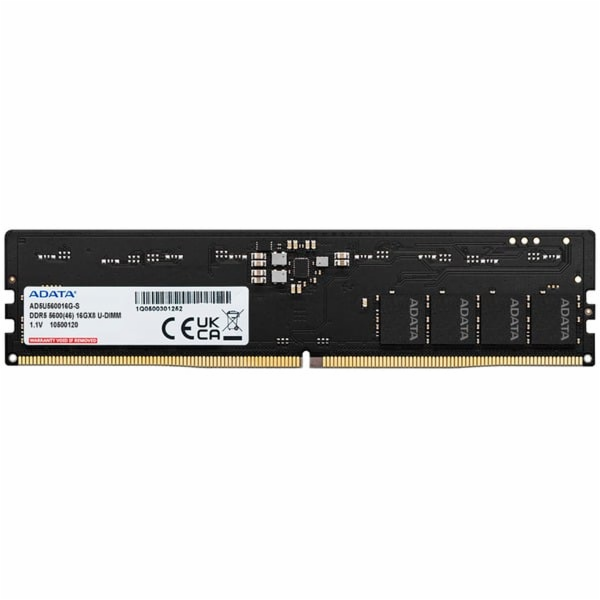 ADATA DIMM 16GB DDR5-5600, RAM