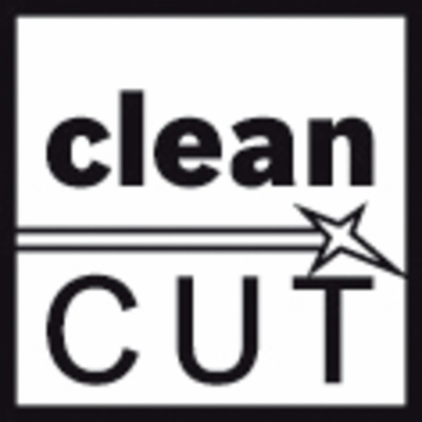 Pilový list T 101 AOF Clean for Hard Wood, 83 mm