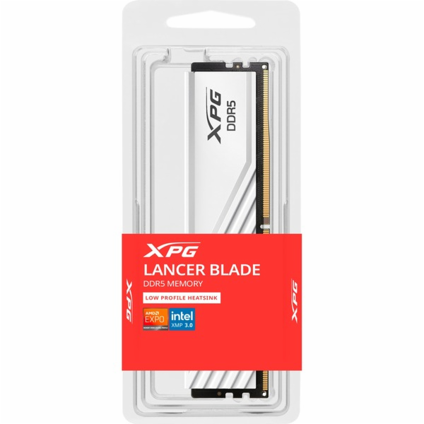 ADATA DIMM 16 GB DDR5-6000 (1x 16 GB), RAM