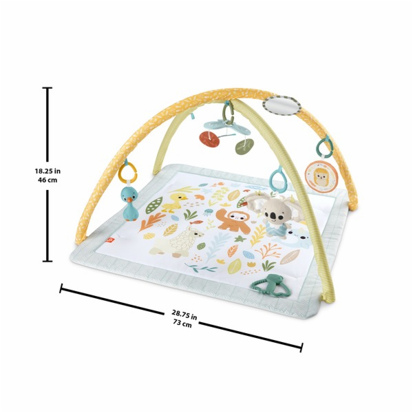 Fisher-Price "Simply Senses Newborn Gym (Sensimals 24), h...