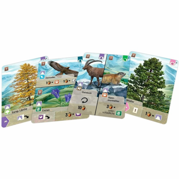 Asmodee Mischwald - Alpská, karetní hra