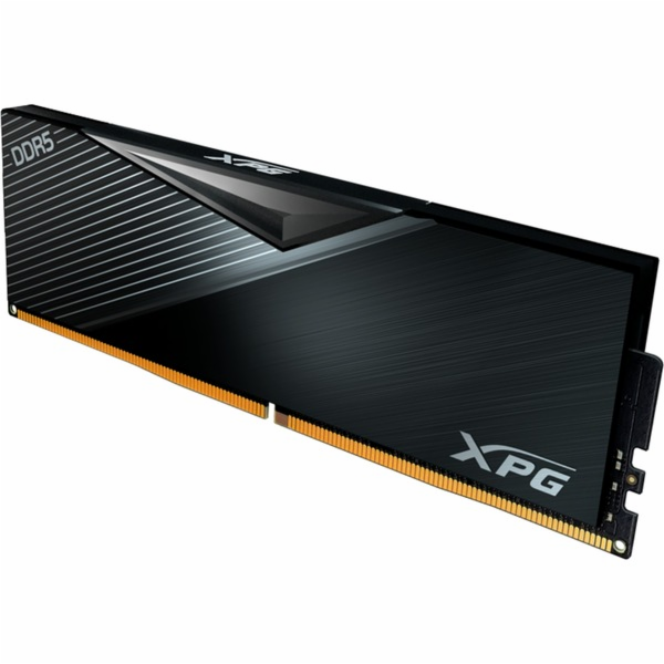 ADATA DIMM 32 GB DDR5-5600 (1x 32 GB), RAM