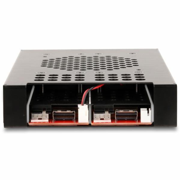 DeLOCK Vyjímatelná 3,5" pozice pro 2 x M.2 NVMe SSD disky