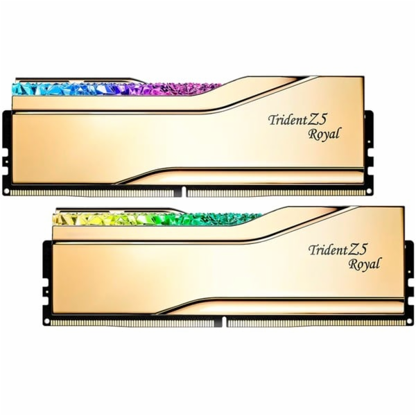 G.Skill DIMM 48 GB DDR5-7200 (2x 24 GB) duální sada, RAM
