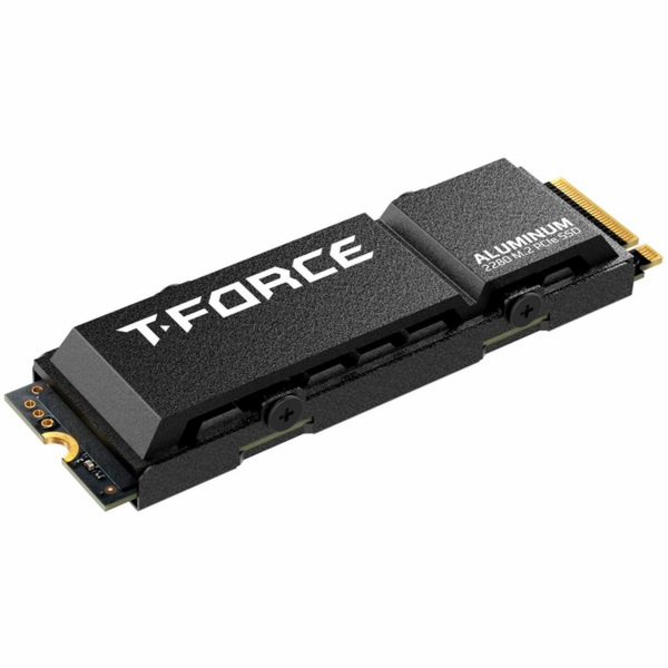 Team Group T-FORCE G70 Pro 1TB, SSD