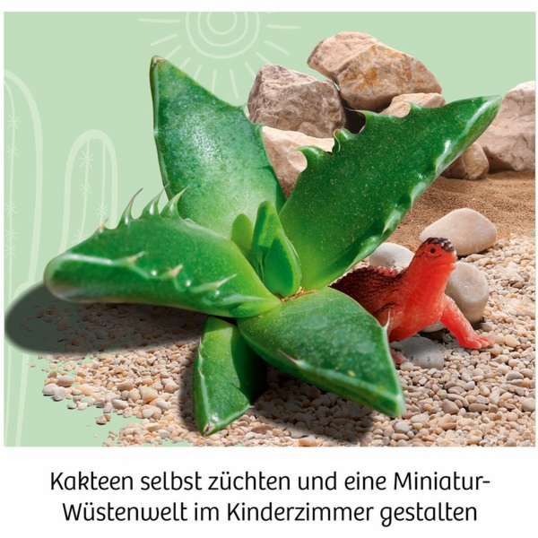 KOSMOS kaktusová poušť, pokusná krabice