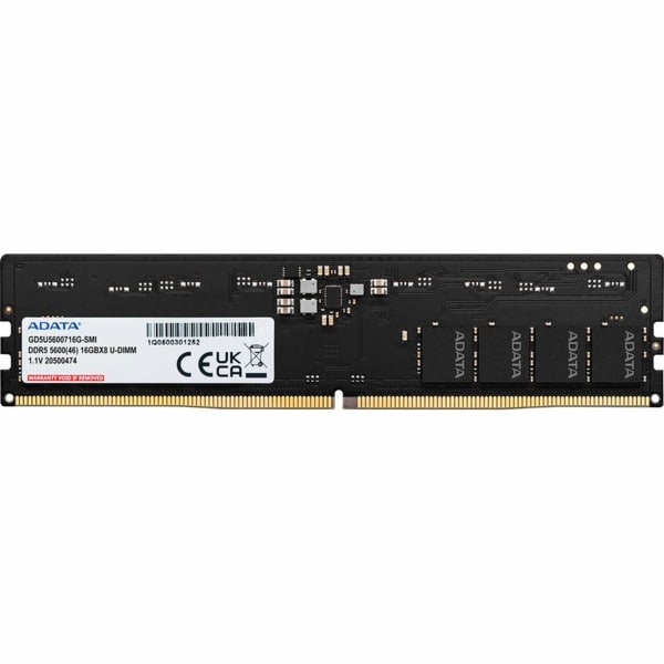 ADATA DIMM 32 GB DDR5-5600 (1x 32 GB), RAM