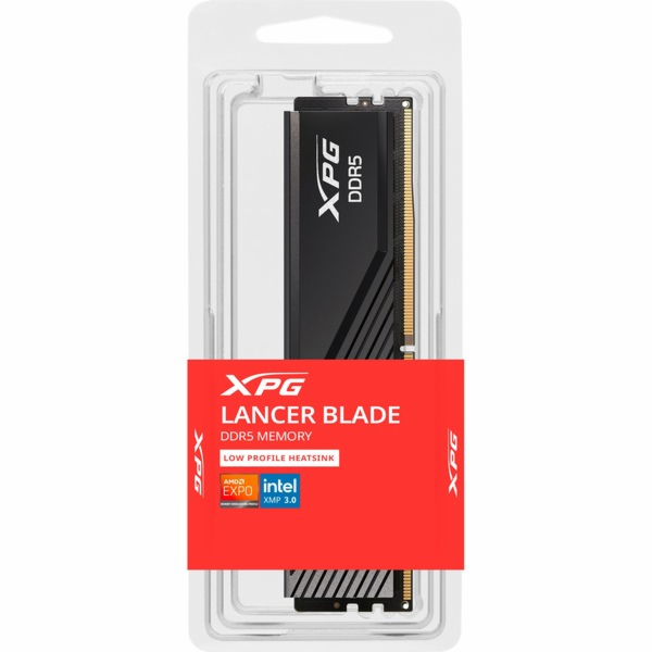 ADATA DIMM 8 GB DDR5-5600 (1x 8 GB), RAM