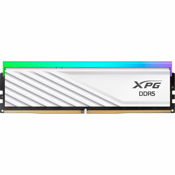 ADATA DIMM 8 GB DDR5-5600 (1x 8 GB), RAM