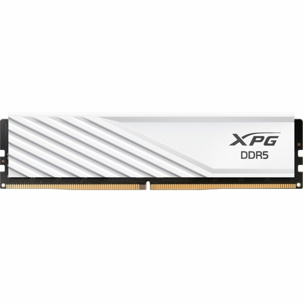 ADATA DIMM 8 GB DDR5-5600 (1x 8 GB), RAM
