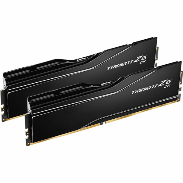 G.Skill DIMM 48 GB DDR5-8400 (2x 24 GB) duální sada, RAM