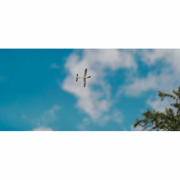 Goki Letadlo na gumičku Eagle Jet