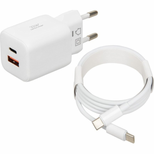 iBOX C-42 GaN PD33W síťová nabíječka, bílá