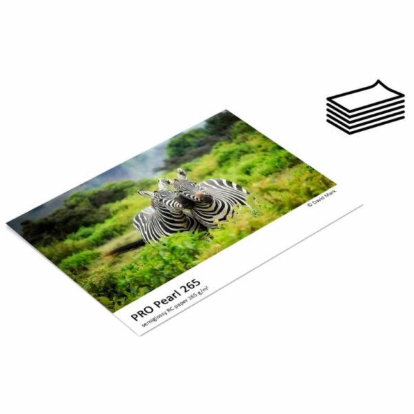 Fotopapír FOMEI PRO Pearl 265 polomatný - A4, 5 listů