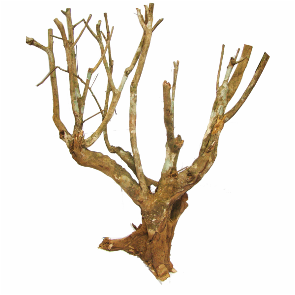 Lucky Reptile Savannah Bush cca 40 cm