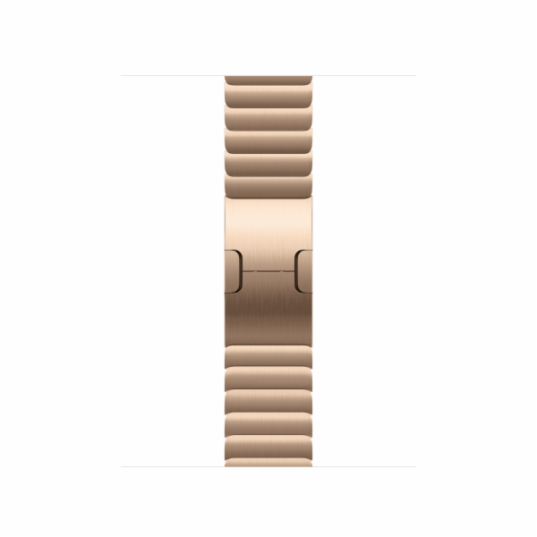 Watch Acc/42/Gold Link Bracelet