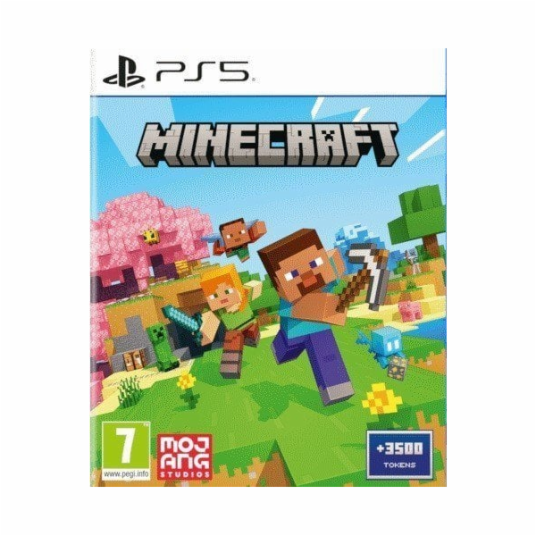 PS5 - Minecraft