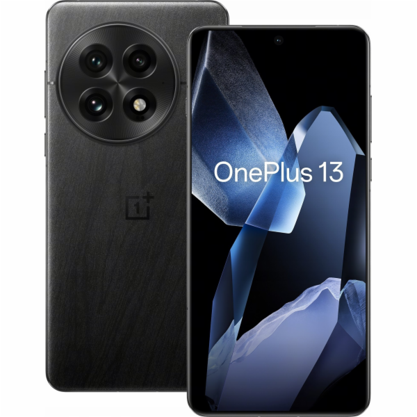 OnePlus 13 17,3 cm (6.82") Dual SIM Android 15 5G USB typ...