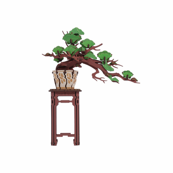 RoboTime 3D dřevěná skládačka Bonsaj borovice