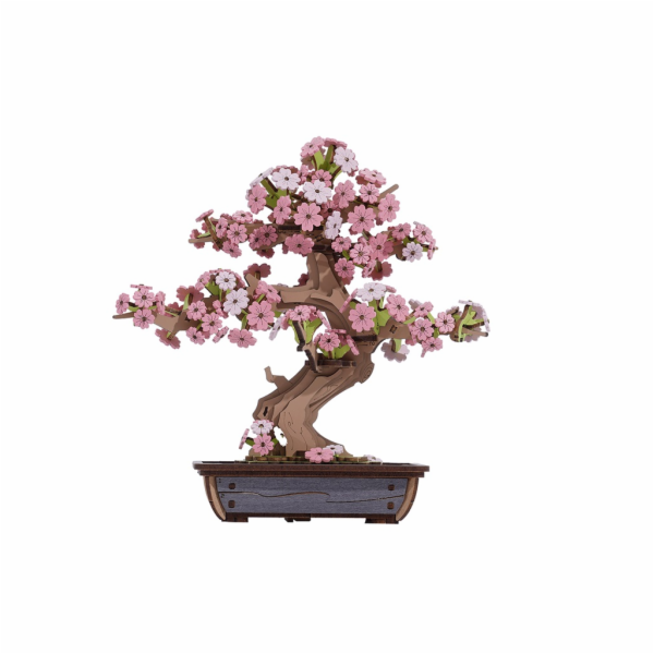 RoboTime 3D dřevěná skládačka Bonsaj sakura