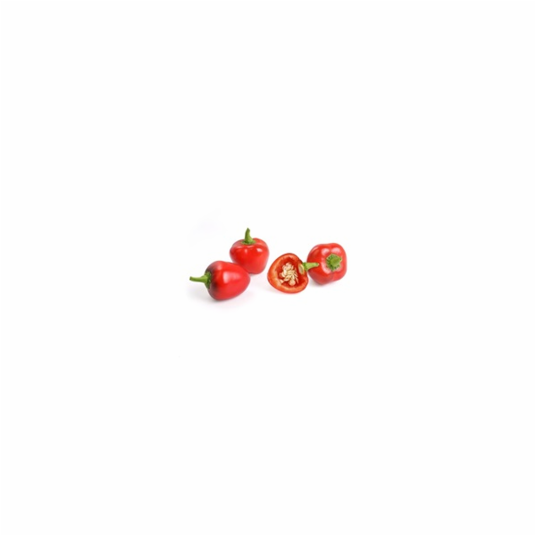 Véritable Lingot Červená mini paprika - BIO