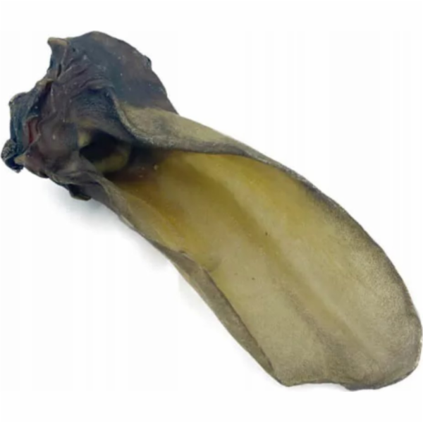 UNISZKI Hovězí ucho střední - pochoutka pro psa - 1 kus