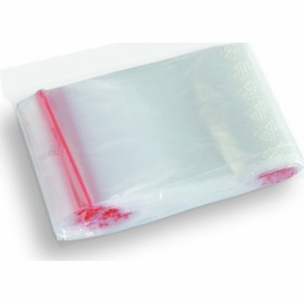 Sáčky Dalpo Ziplock 250*300 (100 ks) B3-SW-0130