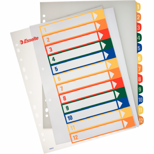 Esselte Printing Parcers Maxi A4 1-12 (100214)