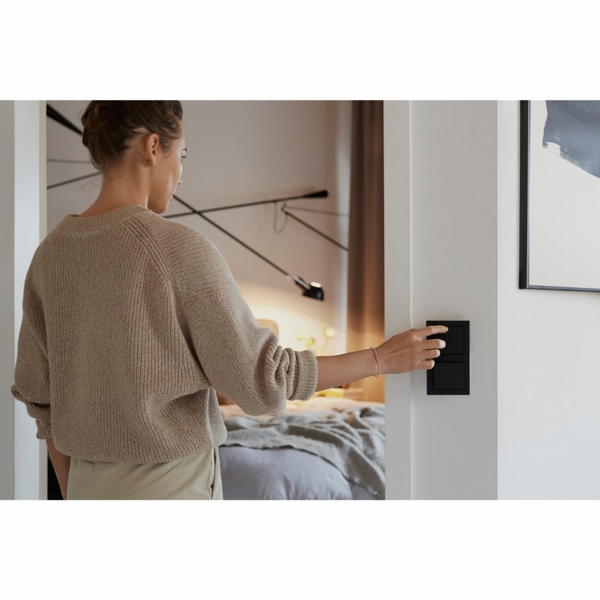 Friends of Hue Smart Switch, Taster