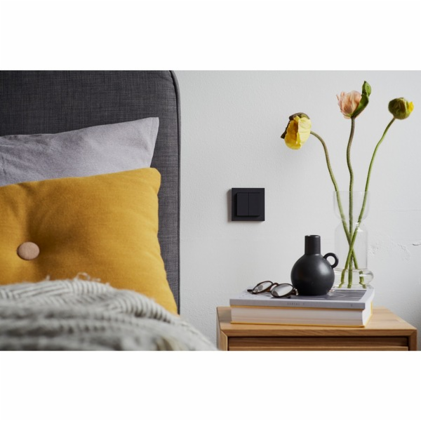Friends of Hue Smart Switch, Taster