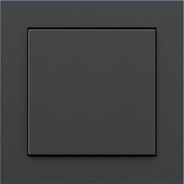 Friends of Hue Smart Switch, Taster