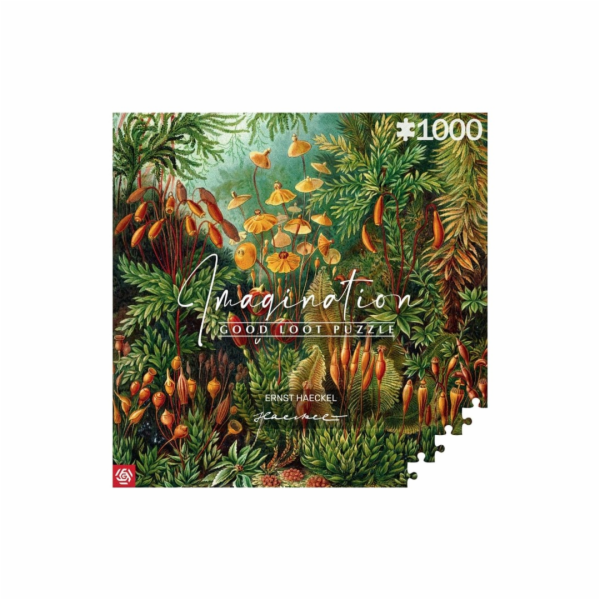 Good Loot Puzzle 1000 Ernst Haeckel Muscinae
