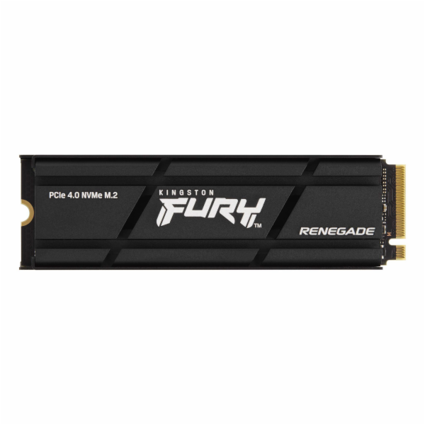 Kingston Fury Renegade 500GB, SFYRSK/500G Kingston SSD 50...