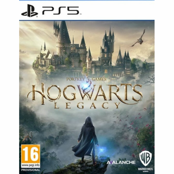 HRA PS5 Hogwarts Legacy
