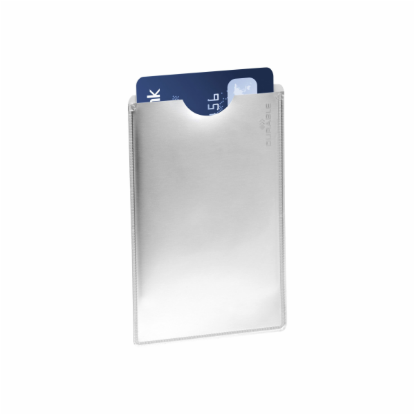 Durable Visitenkartenkasten - stříbrná (Packung