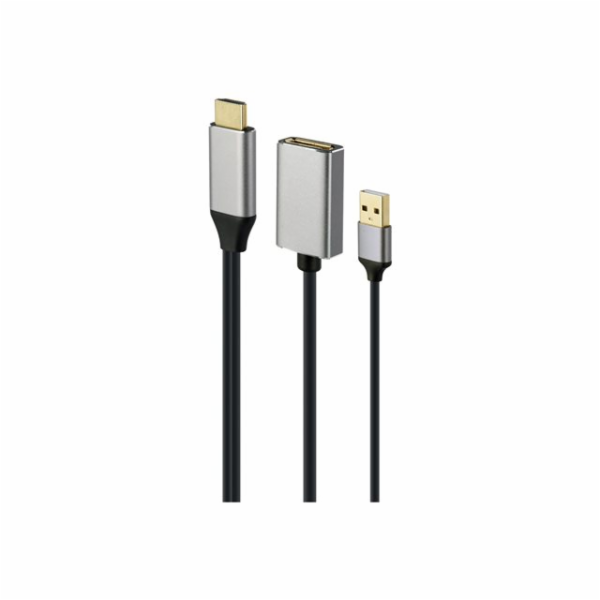 Gembird A-HDMIM-DPF-02 video cable adapter 0.1 m HDMI Typ...