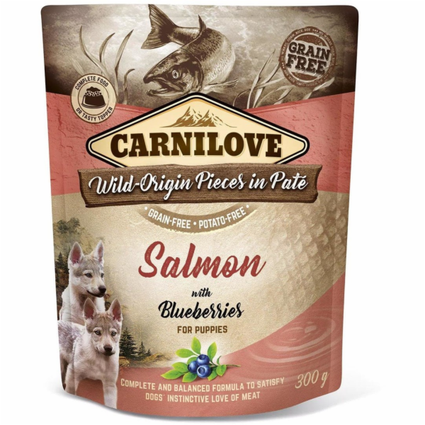 Carnilove Brit Carnilove lososové borůvky Salmon non -ber...