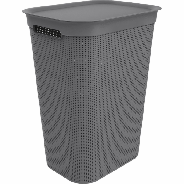 Rotho BRISEN 50L koš na prádlo šedý (1023508853)