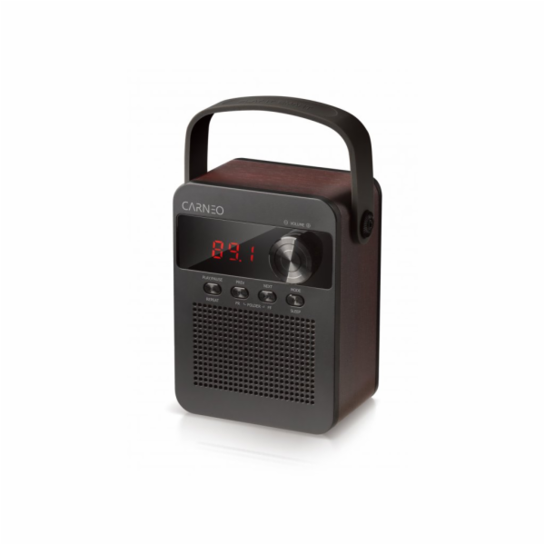 CARNEO F90 FM rádio, bluetooth reproduktor, black/wood