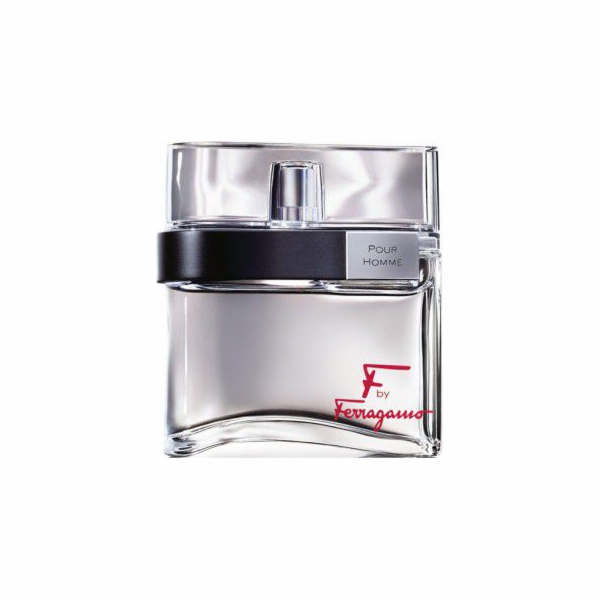 Salvatore Ferragamo F od Ferragamo Pour Homme EDT 100 ml