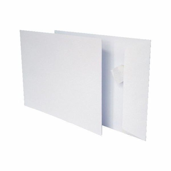 Globax Pro Pac C5 Envelopes (2257)