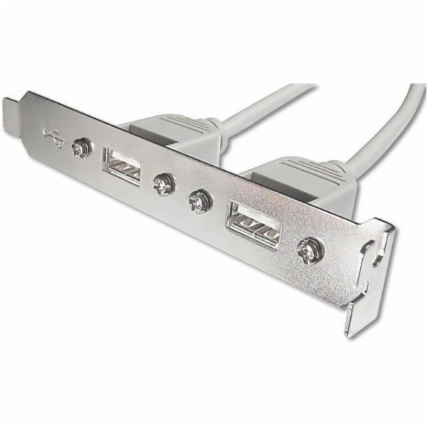 Digitus záslepka slotu s 2 USB porty + kabel 2x5pin 0,25m