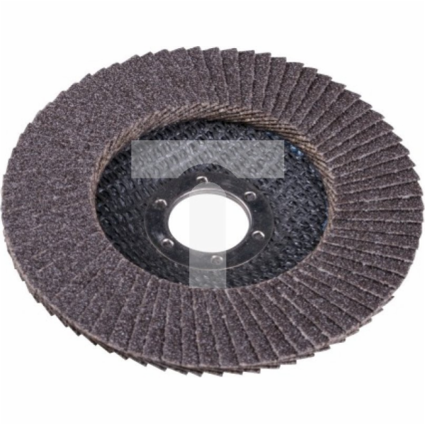 KLAPKA DISKOVÝ BRUSNÝ KOTOUČ 125 GR. 100 PLOCHÝ [EXPERT] ...