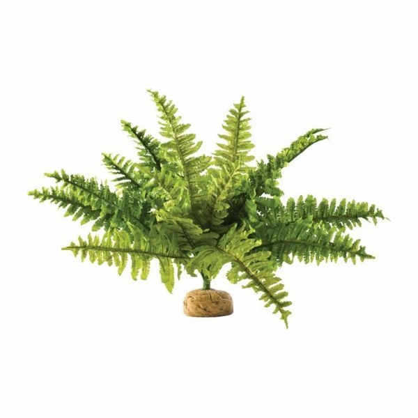Umělá rostlina Exo Terra – Boston Fern, M