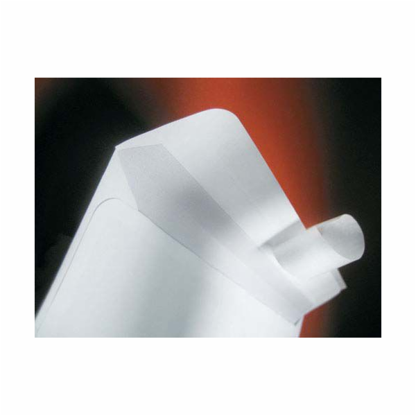 NC Envelopes ENVELOPE B-5 WHITE HK 500PCS (31532020)